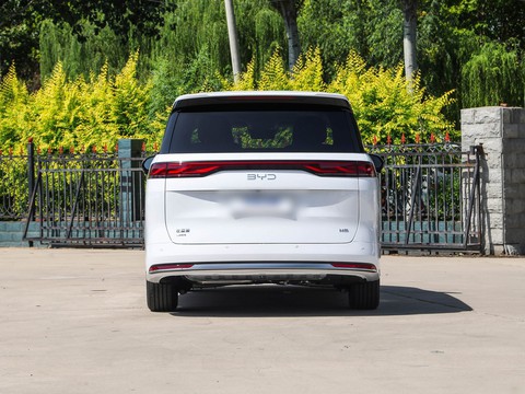 BYD M9 — China electric EV for export — photo 6