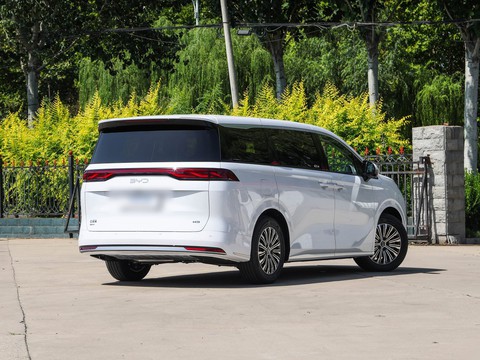 BYD M9 — China electric EV for export — photo 7