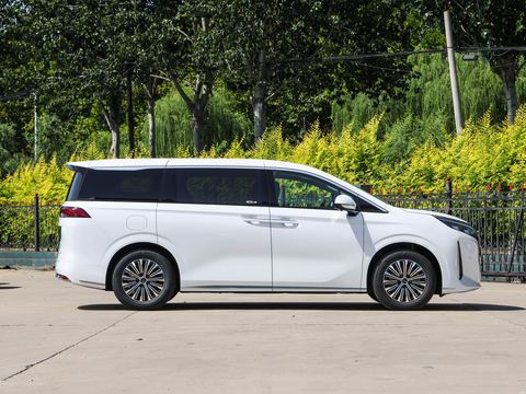 BYD M9 — China electric EV for export — photo 8
