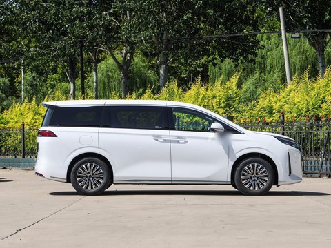 BYD M9 — China electric EV for export — photo 8