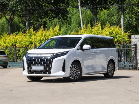BYD M9 — China electric EV for export