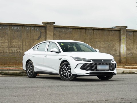 BYD QinL — China electric EV for export — photo 3