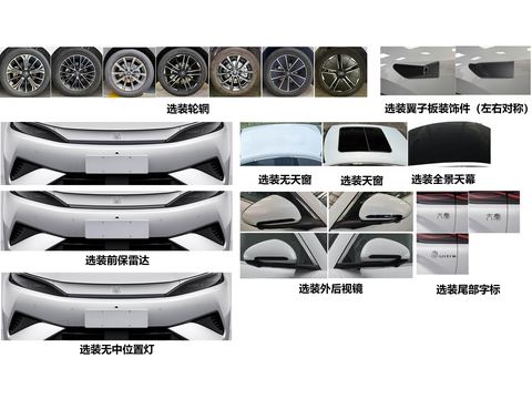 BYD QinMAX — China electric EV for export — photo 2