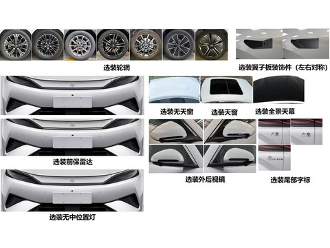 BYD QinMAX — China electric EV for export — photo 2