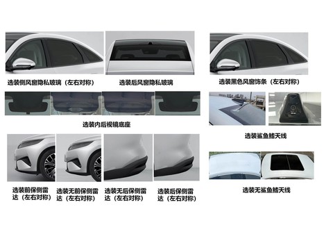 BYD QinMAX — China electric EV for export — photo 3
