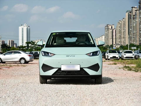 BYD Seagull — China electric EV for export — photo 2