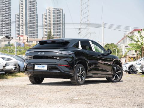BYD Sealion 07 EV — China electric EV for export — photo 7