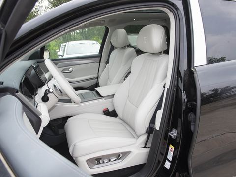 BYD TangL — China electric EV for export — photo 10