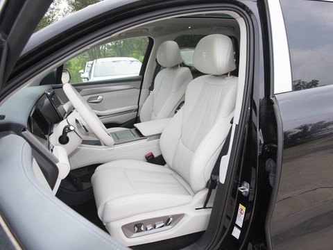 BYD TangL — China electric EV for export — photo 10