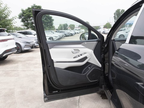 BYD TangL — China electric EV for export — photo 11
