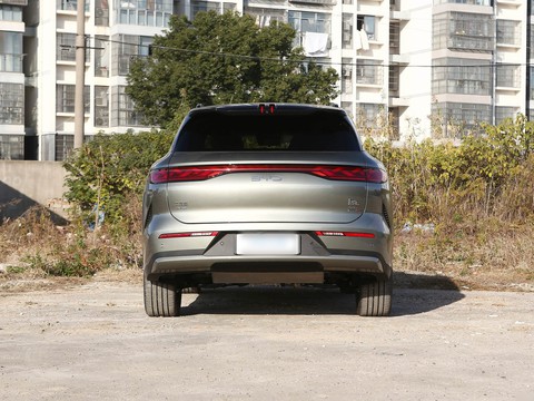 BYD TangL — China electric EV for export — photo 6