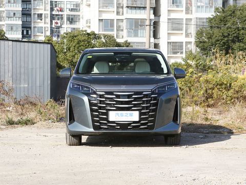 BYD Xia — China electric EV for export — photo 2