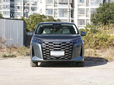 BYD Xia — China plug-in hybrid EV for export — photo 2