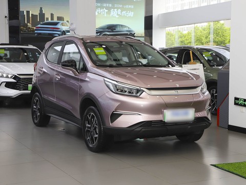 BYD YuanPro — China electric EV for export — photo 3