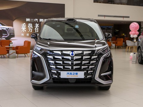 Denza D9 — China electric EV for export — photo 2