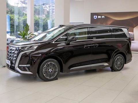 Denza Teng ShiD9 — China electric EV for export — photo 4