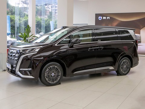 Denza D9 — China electric EV for export — photo 4