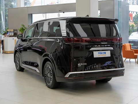 Denza D9 — China electric EV for export — photo 5