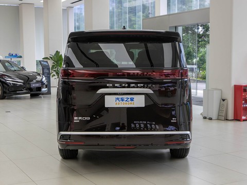 Denza D9 — China electric EV for export — photo 6