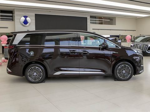 Denza Teng ShiD9 — China electric EV for export — photo 8