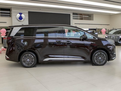 Denza D9 — China electric EV for export — photo 8