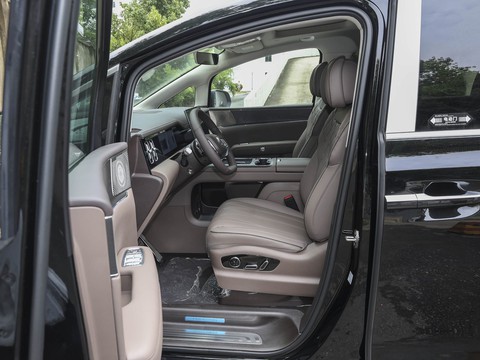 Denza D9 — China electric EV for export — photo 9