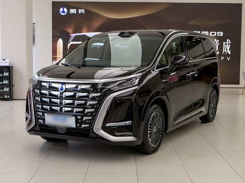 Denza D9 — China electric EV for export