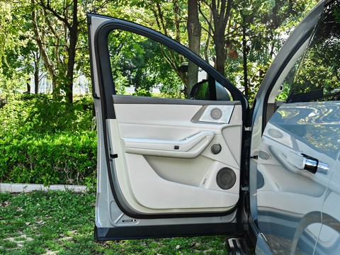 Denza N8L — China plug-in hybrid EV for export — photo 11