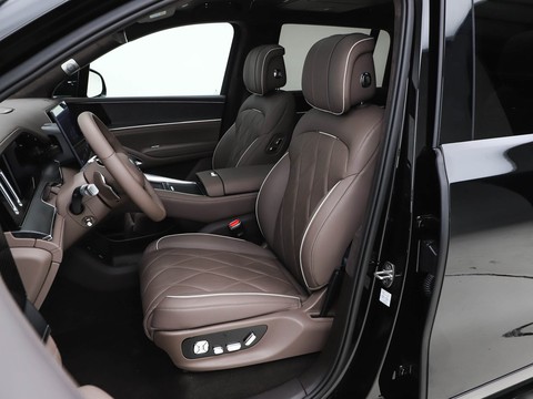 Denza N9 — China plug-in hybrid EV for export — photo 10
