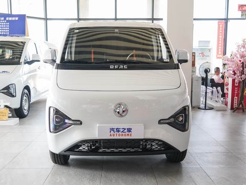 Dongfeng Fu Rui Tong — China electric EV for export — photo 2