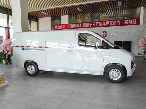 Dongfeng Furuitong — China electric EV for export — photo 8
