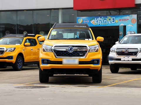 Dongfeng Palaso EV — China electric EV for export — photo 2
