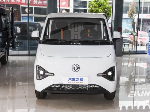 Dongfeng Rui Li DaV5 — China electric EV for export — photo 2