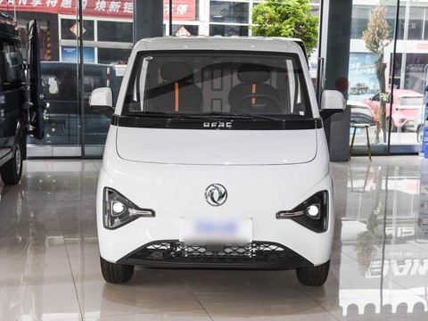 Dongfeng Ruilida V5 — China electric EV for export — photo 2