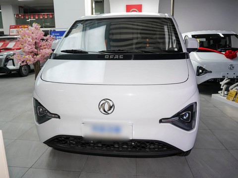 Dongfeng Ruilida V7 — China electric EV for export — photo 2