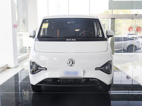 Dongfeng Ruilida V8E — China electric EV for export — photo 2