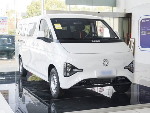 Dongfeng Ruilida V8E — China electric EV for export — photo 3