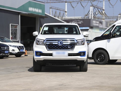 Dongfeng Rich 6 EV — China electric EV for export — photo 2