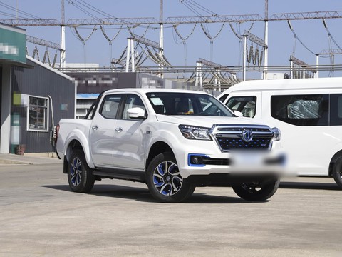 Dongfeng Rich 6 EV — China electric EV for export — photo 3