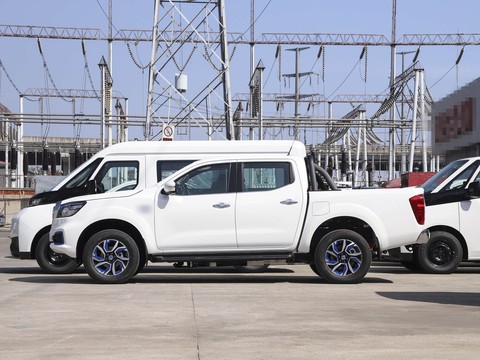 Dongfeng Rich 6 EV — China electric EV for export — photo 4