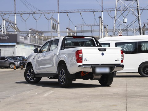 Dongfeng Rich 6 EV — China electric EV for export — photo 5