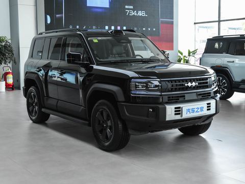 Fangchengbao Bao5 — China electric EV for export — photo 3