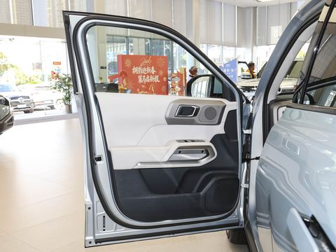 Fangchengbao Tai3 — China electric EV for export — photo 11