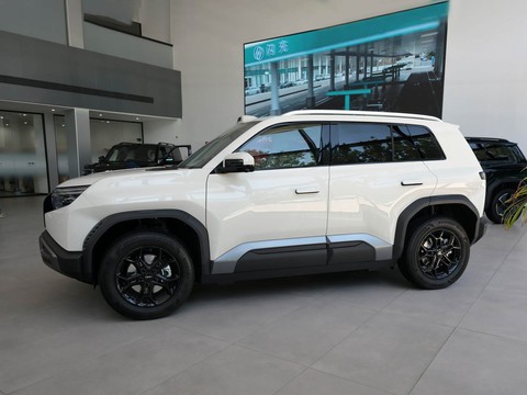 Fangchengbao Titanium 3 — China electric EV for export — photo 4