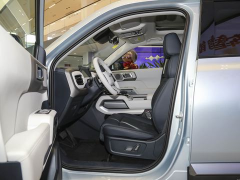 Fangchengbao Tai3 — China electric EV for export — photo 9