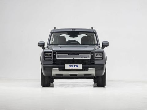 Haval Chang Cheng Meng Long PLUS — China electric EV for export — photo 2