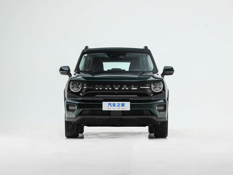 Haval Ha Fu Da Gou PLUS — China electric EV for export — photo 2
