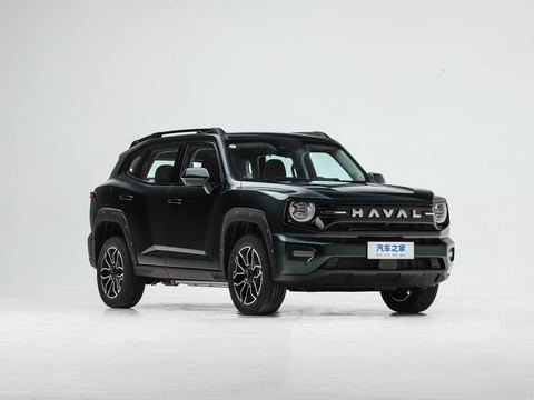 Haval Ha Fu Da Gou PLUS — China electric EV for export — photo 3