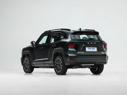 Haval Ha Fu Da Gou PLUS — China electric EV for export — photo 5