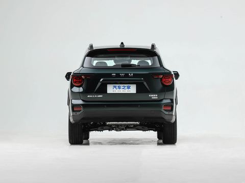 Haval Ha Fu Da Gou PLUS — China electric EV for export — photo 6